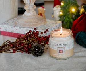 Seasonal Christmas Candle Set (SAVE 30-40% OFF!)