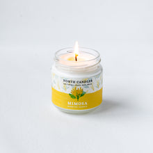 Load image into Gallery viewer, Seasonal Spring Candle Set (SAVE 30-35% OFF!)