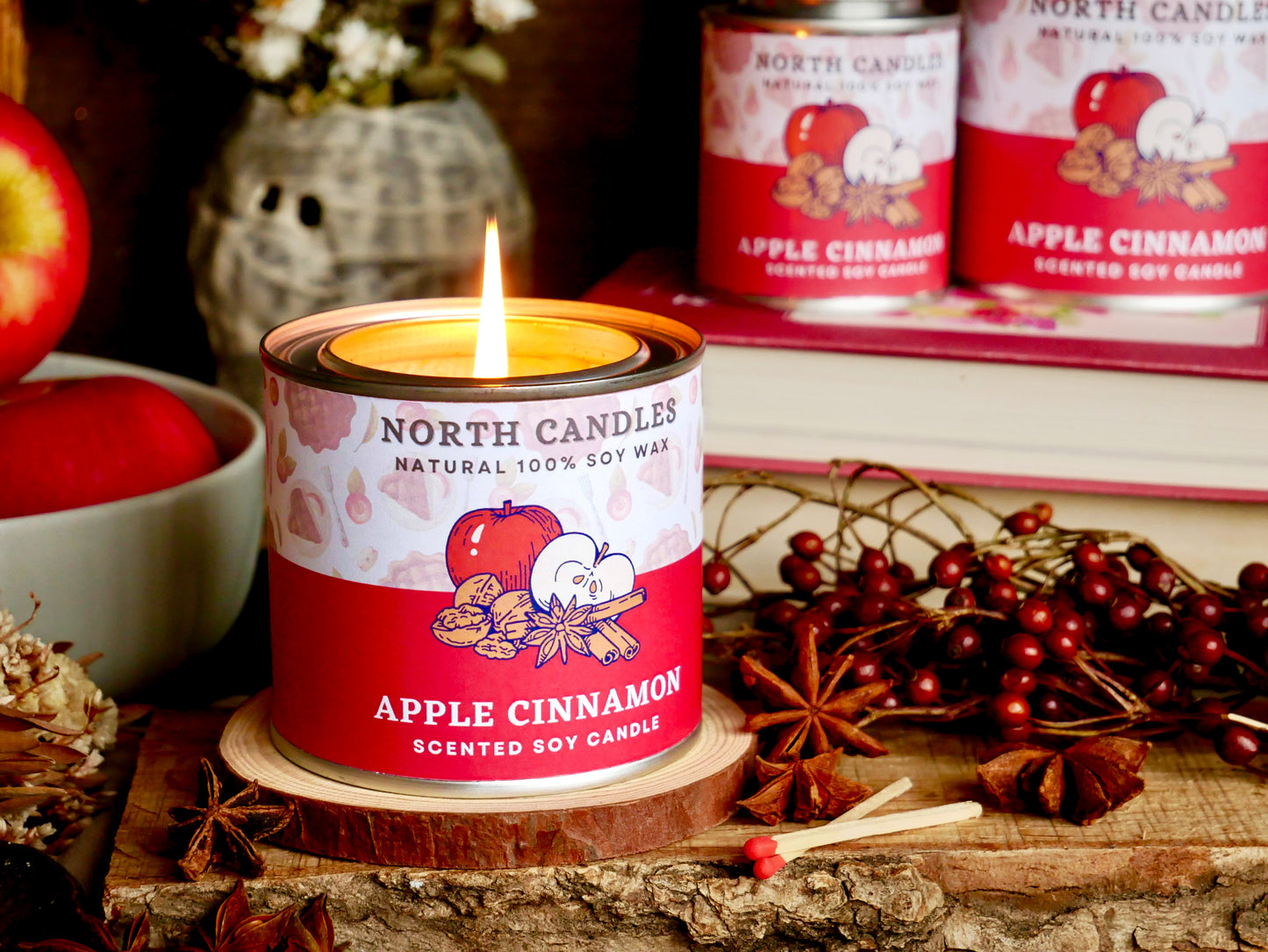 Apple Cinnamon Scented Candle