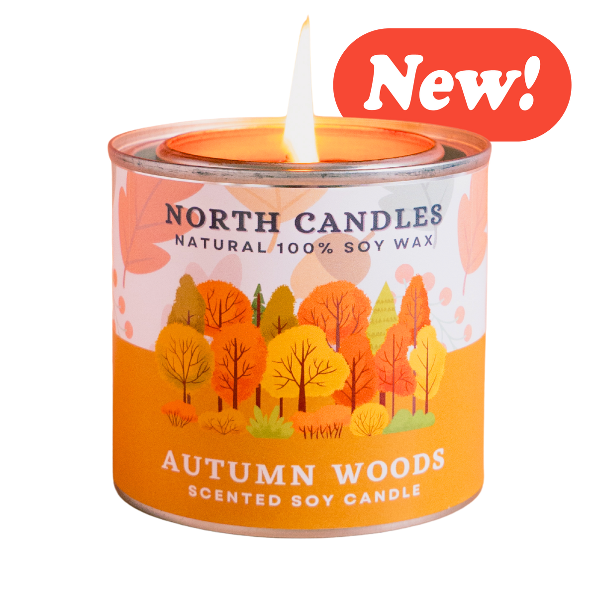 (Seasonal) Autumn Woods