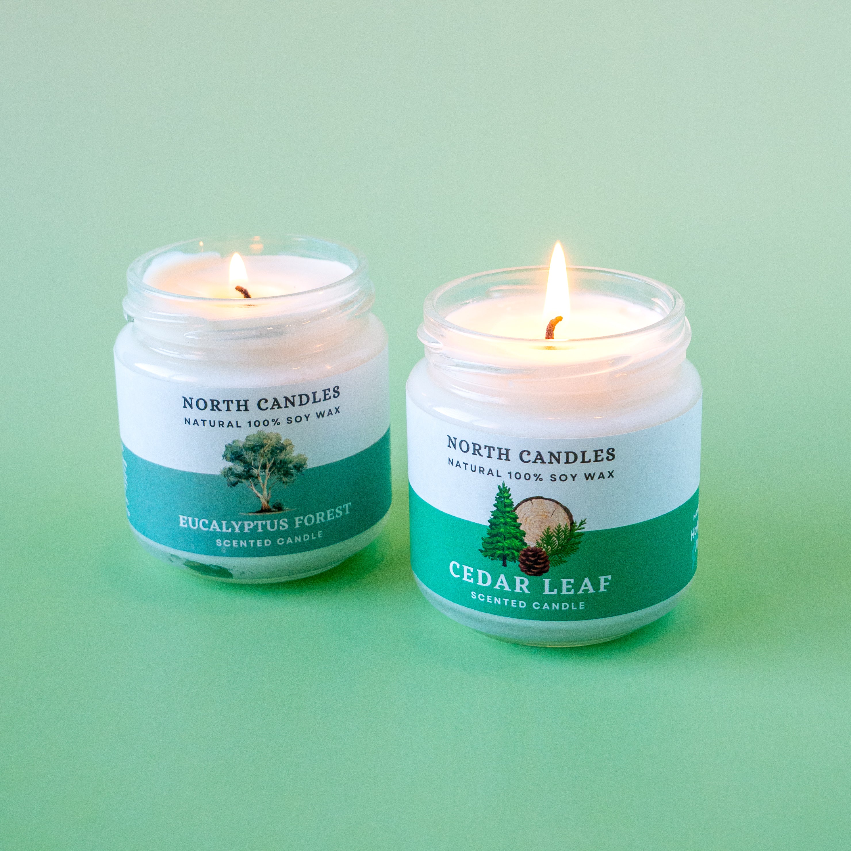 NEW シダーリーフ ビンキャンドル – North Candles