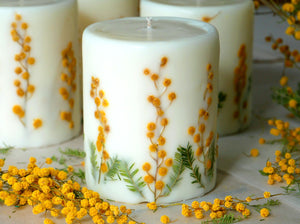 [Seasonal Only] Mimosa soy candle
