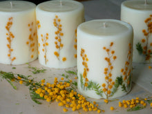 Load image into Gallery viewer, [Seasonal Only] Mimosa soy candle
